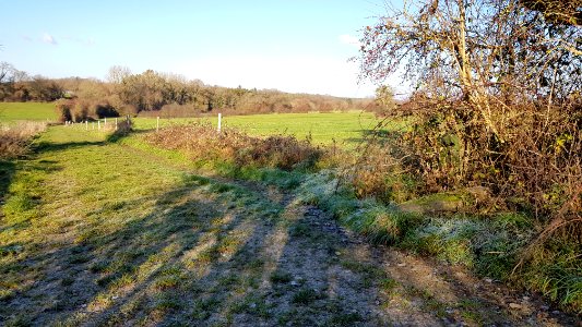 Durbuy-Menhir de Morville (10)