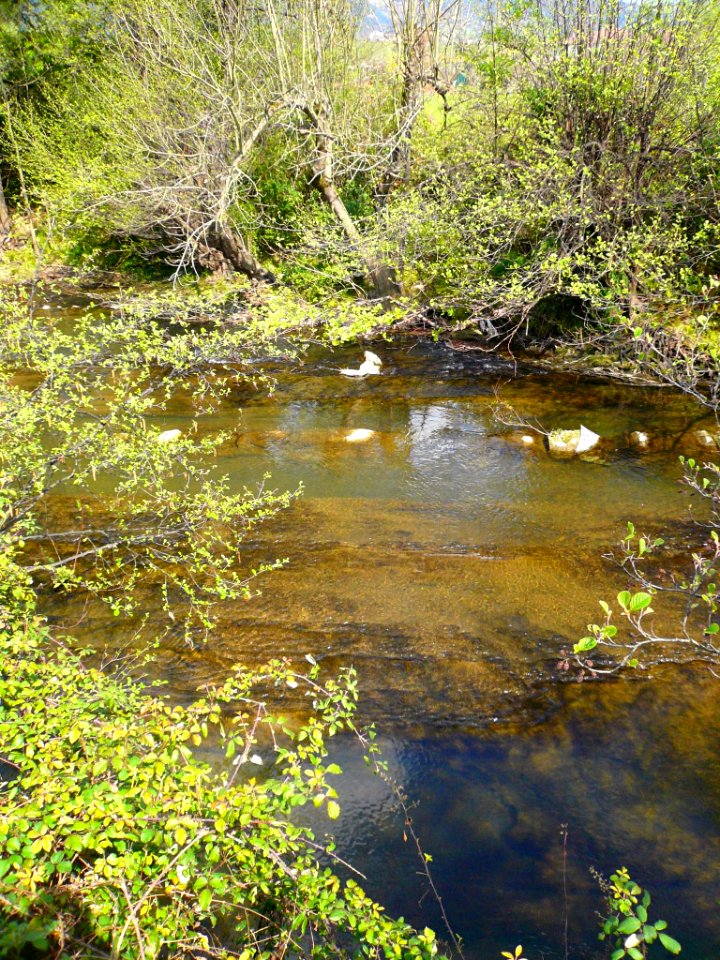 Durango - Río Ibaizábal 02