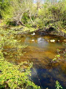 Durango - Río Ibaizábal 02