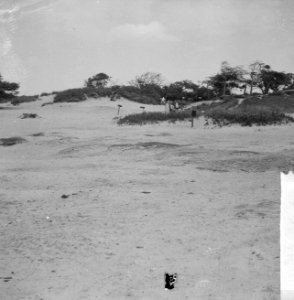 Duinlandschap omgeving Kennemerduinen, Bestanddeelnr 916-6966