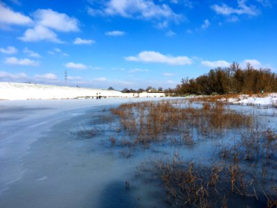 Dutch winter riverscape (Bemmel, Lingewaard) photo