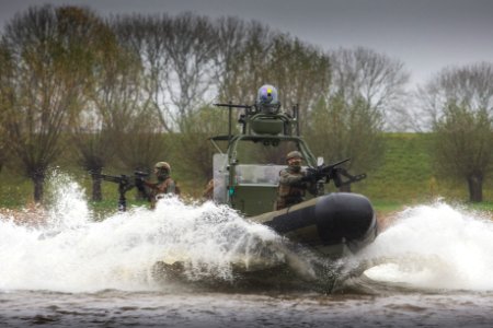 Dutch RHICC-8