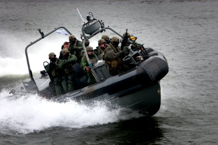 Dutch RHICC-4