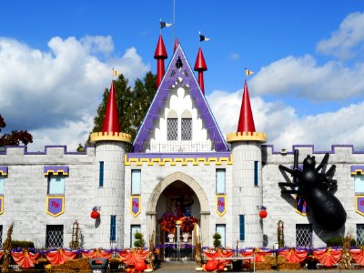Dutch Wonderland w spider LanCo