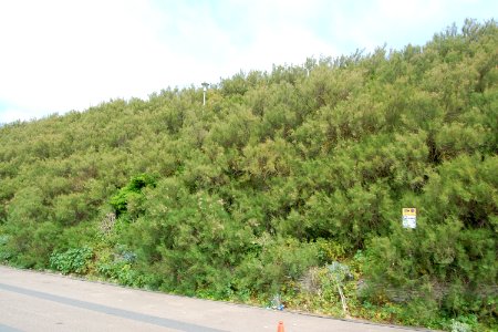 Duke's Mound, Madeira Drive, Brighton (May 2018, seen from Volk's Electric Railway)