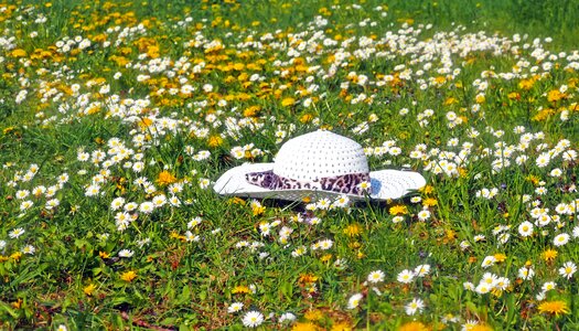 Meadow headwear sun protection photo