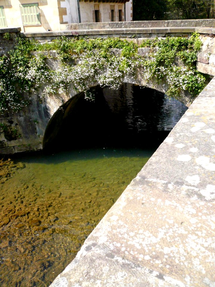 Durango - Río Mañaria 3
