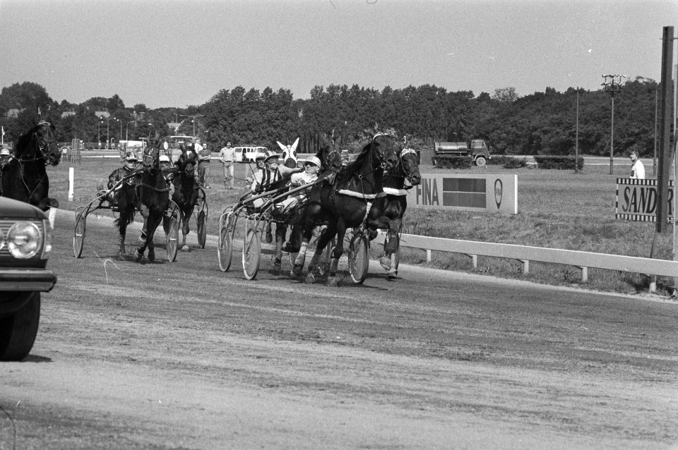 Duindigt, derby voor dravers winnaar is no. 14 Uranis ter Lune met pikeur De Wr, Bestanddeelnr 931-6125