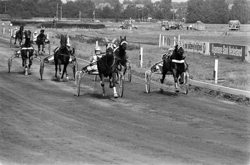 Duindigt, Nederlandse kampioenschappen dravers Speedy Volita met pikeur Gerard , Bestanddeelnr 929-8637