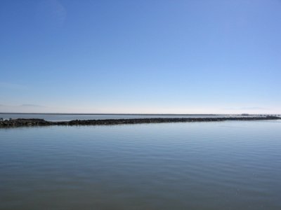 Dumbarton Rail Bridge and polders 2742 04