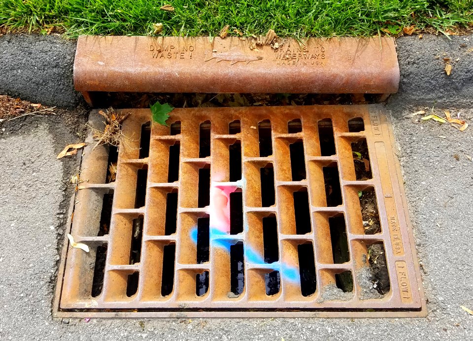 Dump No Waste, Drains to Waterways - Made in USA, ej - grate - Arlington, MA - 20200627 093808
