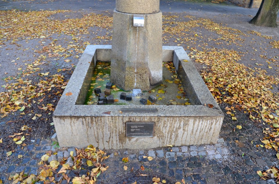 Duexer Bock 2016-10-03 DSC 5149 Brunnen