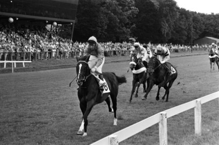 Duindigt, de derby nr. 8 Ishamo (R. Guest) wint met duidelijke voorsprong, Bo, Bestanddeelnr 931-5792