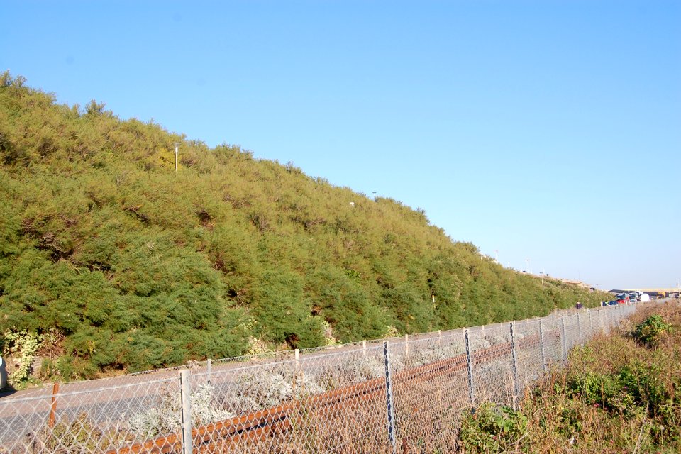 Duke's Mound, Madeira Drive, Brighton (September 2018) (1)