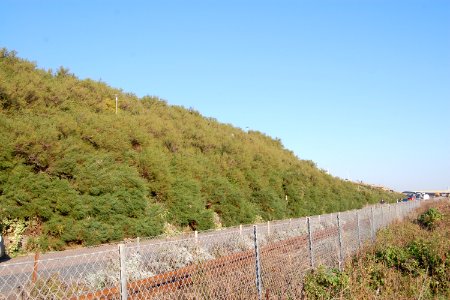 Duke's Mound, Madeira Drive, Brighton (September 2018) (1)