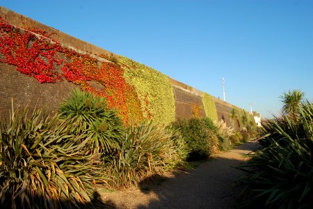 Duke's Mound, Madeira Drive, Brighton (September 2018) (3)