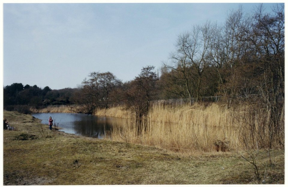 Duingebied ten zuiden van de Duin en Kruidbergerweg. NL-HlmNHA 54037378