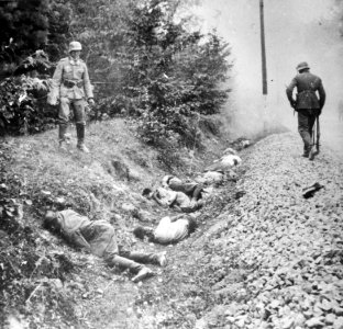 Duitse inval in Polen 1939, Bestanddeelnr 916-8433 (cropped)