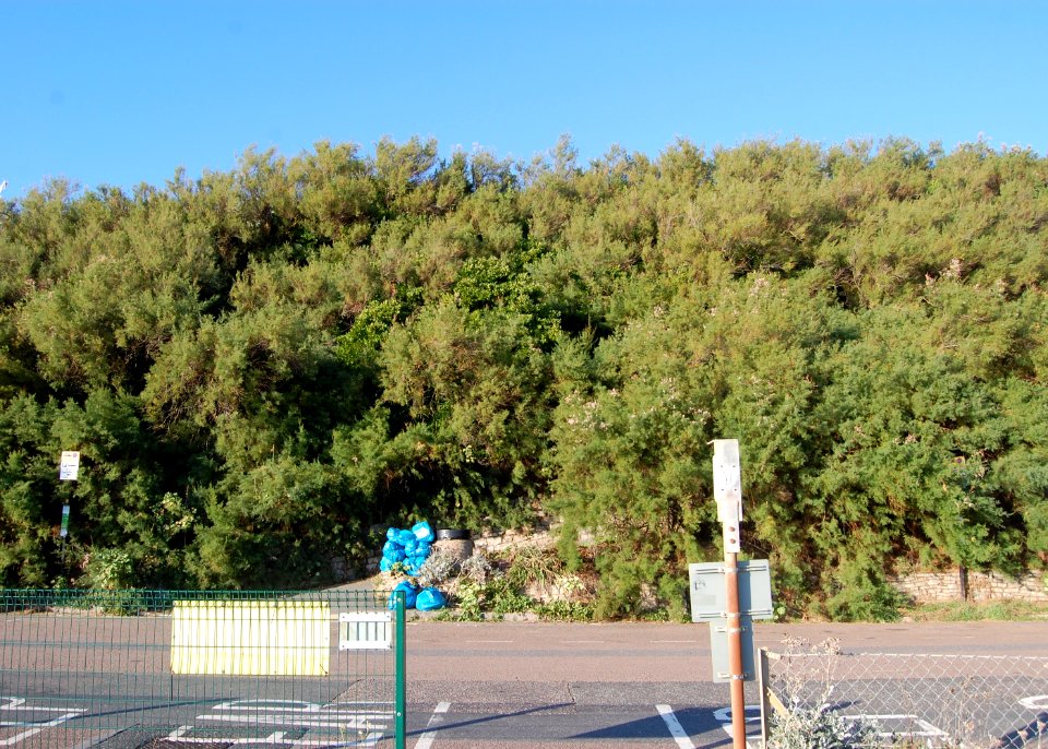 Duke's Mound, Madeira Drive, Brighton (September 2018) (2)