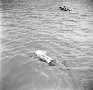 Duiker in de Fuikbaai, Bestanddeelnr 252-2987