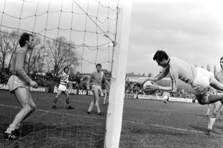 Duik van keeper Vogels van FSC, Bestanddeelnr 924-4020