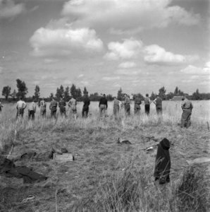 Duitse krijgsgevangen worden bij het mijnenruimen ingezet, Bestanddeelnr 900-7503
