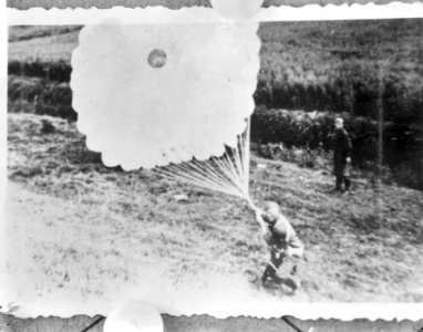 Duitse parachutisten landen in Nederland op 10 mei 1940, Bestanddeelnr 917-7046