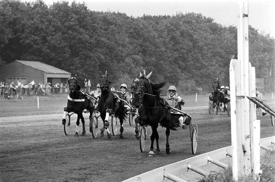 Duindigt derby JJ Klaas Woudstra met Paramoh (r) gaat winnend over de finish, Bestanddeelnr 929-2972