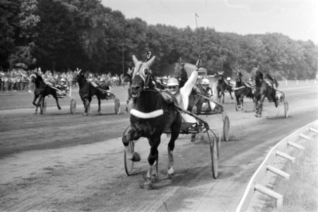Duindigt kampioenschap der Nederlandse dravers Jan Wagenaar met Manza Buitenzor, Bestanddeelnr 929-8281