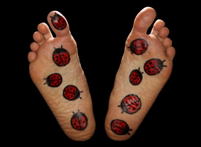 Fun funny ladybug