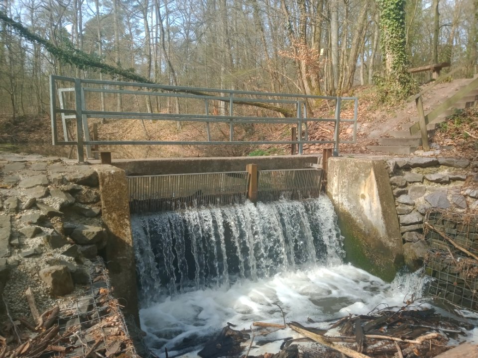 Druslach, Wehr im Bellheimer Wald