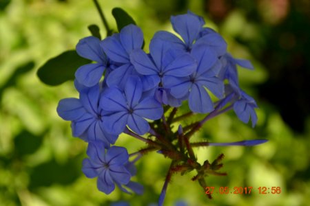 Dsc 0153 Jpg (237887965)