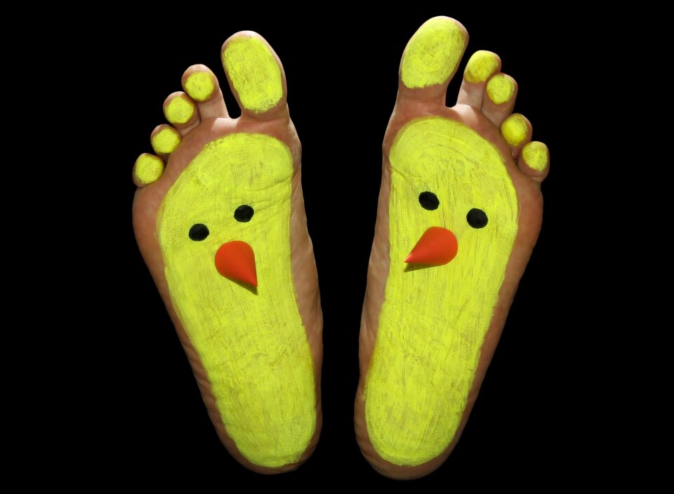 Funny little chicken