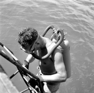 Duiker Hakkenberg in de Fuikbaai, Bestanddeelnr 252-3005