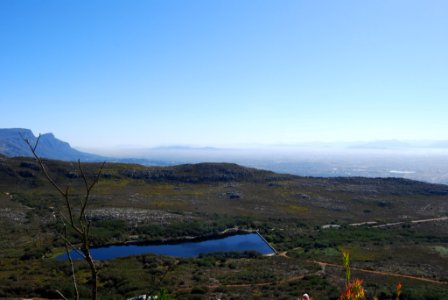 Dsc 0137 Jpg (136541535)