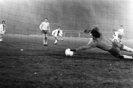Duik naar de bal van Celtickeeper Evan Williams, Bestanddeelnr 924-3461