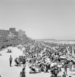 Drukbezocht strand vol met badgasten in strandstoelen, Bestanddeelnr 255-1969