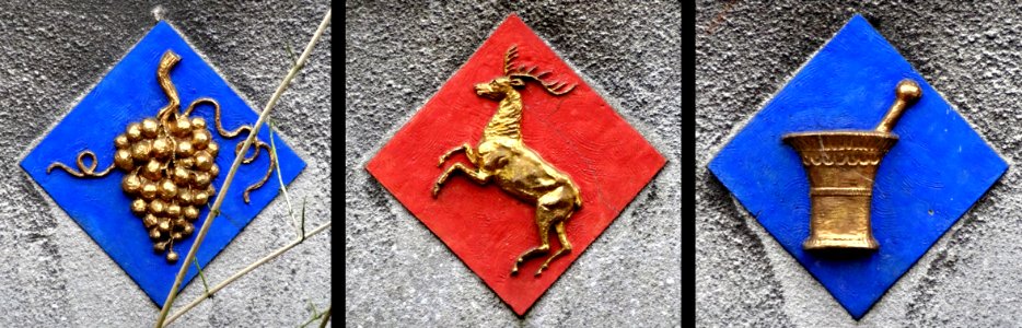 Druiventros hert vijzel Lange Tiendeweg Zeugstraat Gouda