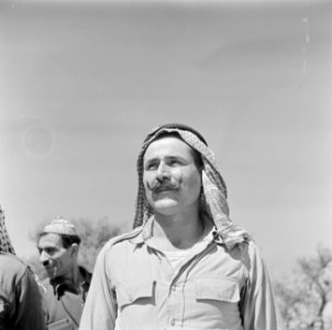 Drusische militair met knevel uit het Israelische leger, Bestanddeelnr 255-1413