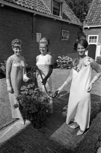 Druivenprinses en feeën te Naaldwijk. Jeannette van der Brink (Oogstfee), Corri…, Bestanddeelnr 920-6226