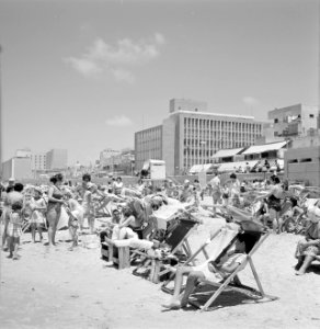 Drukbezocht strand met badgasten in strandstoelen, Bestanddeelnr 255-1978
