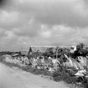 Drogende was aan het prikkeldraad bij het kinderdorp Oniem, Bestanddeelnr 255-0552