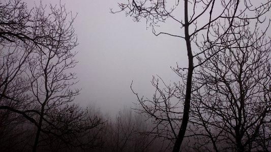 Dsc 0005 Jpg (167918583)