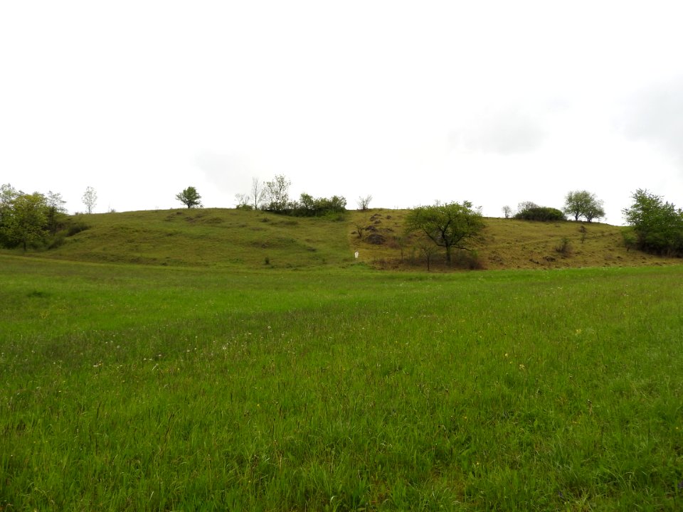 Drommberg, Oppurg 03