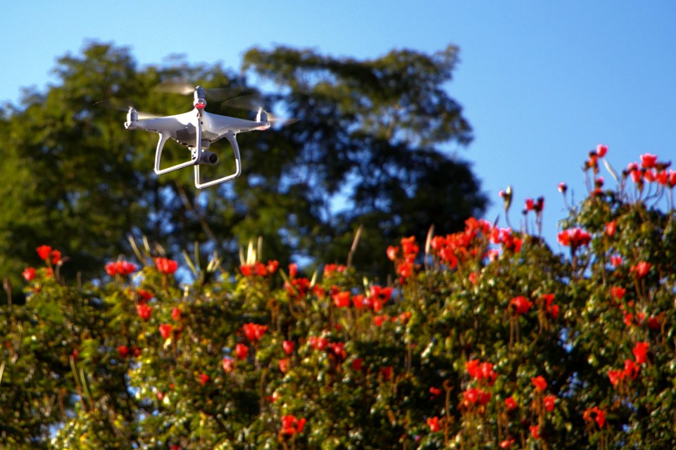 Drone (155675863)