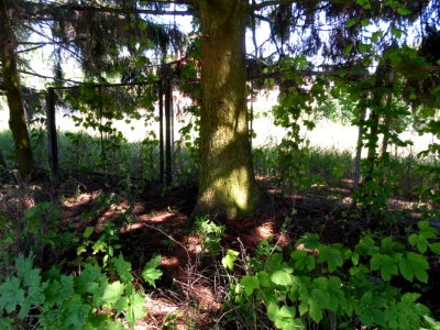 DROGOSZE, AB - 012