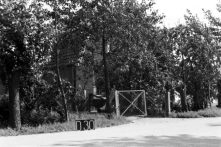 Druten of Dreumel (ruilverkaveling Maas en Waal), Bestanddeelnr 170-2239