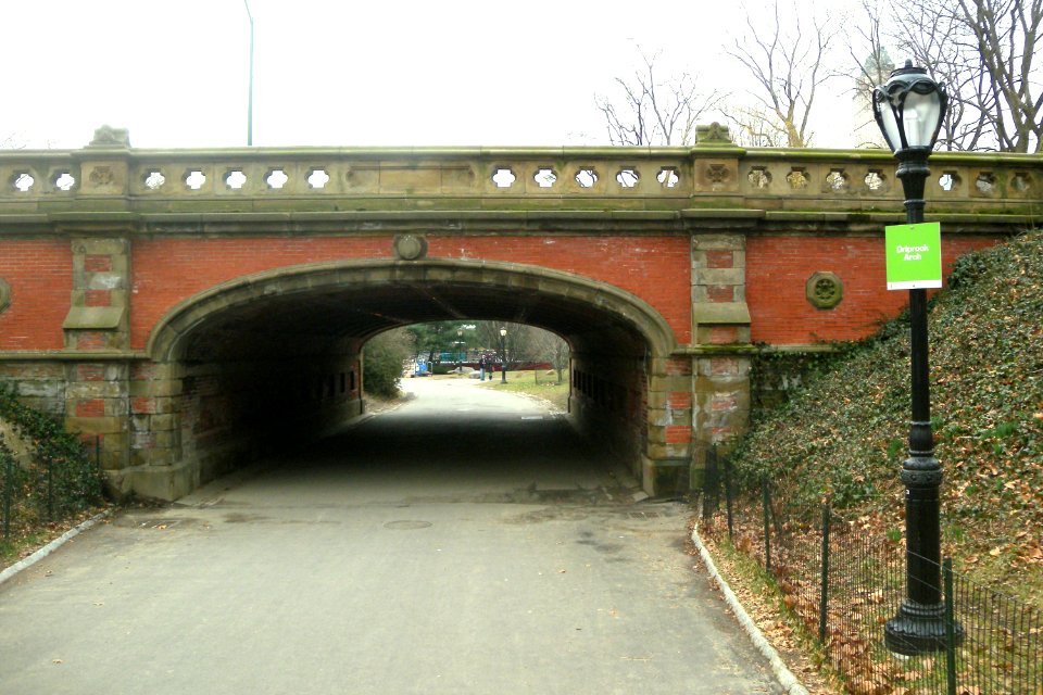 Driprock Arch C63 gloomy jeh