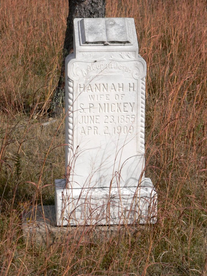 Dry Valley Church tombstone Mickey