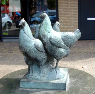 Drimmelen made kunstwerk een toom kippen